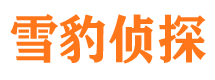 船山市侦探公司